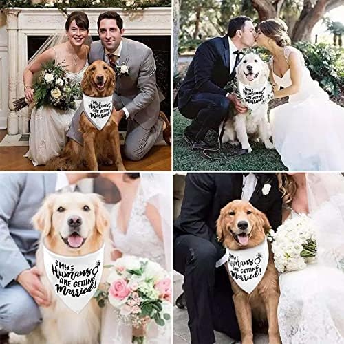 Fehér Az Emberek összeházasodnak Kutya Esküvő, Eljegyzés, Kendő,Esküvői Fotó, Fotók, LMSHOWOWO Kutya Kendő Esküvő, Eljegyzés