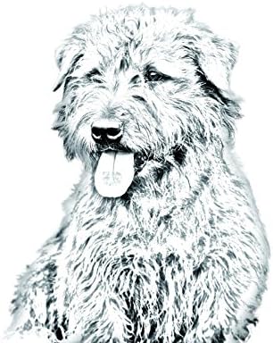 Glen of Imaal Terrier, Ovális alakú Sírkő a Kerámia egy Kép egy Kutyát