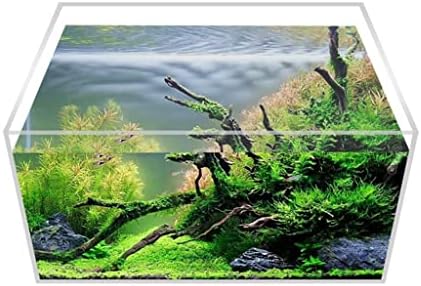 UXZDX Akril Átlátszó akvárium Törhetetlen Asztali Kis Téglalap alakú Vízi Növények Hüllők (Szín : az ábrán Látható, Méret